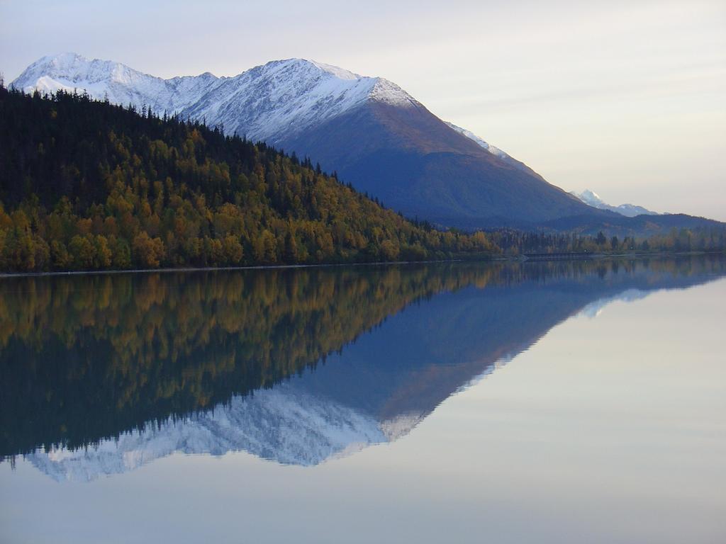 Arctic Paradise B&B Seward Exterior foto