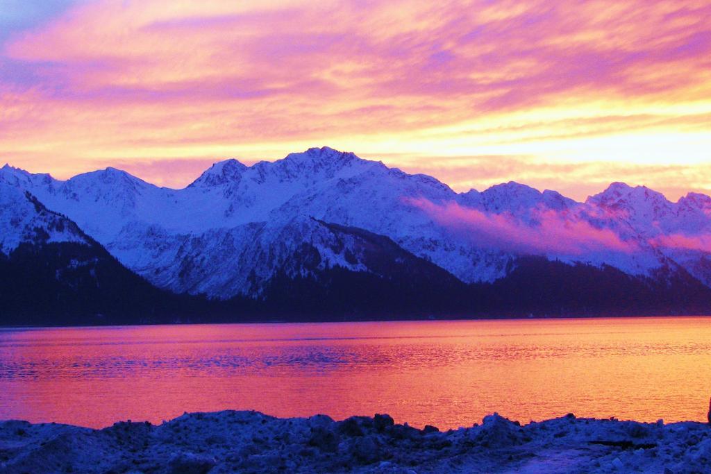Arctic Paradise B&B Seward Exterior foto