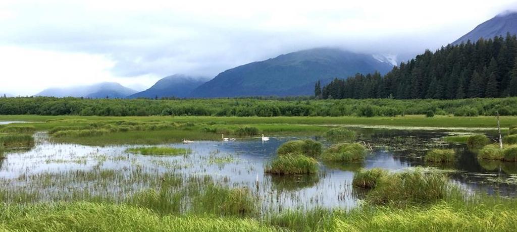 Arctic Paradise B&B Seward Exterior foto